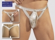 Silver_string_4bf65a67878fb.jpg